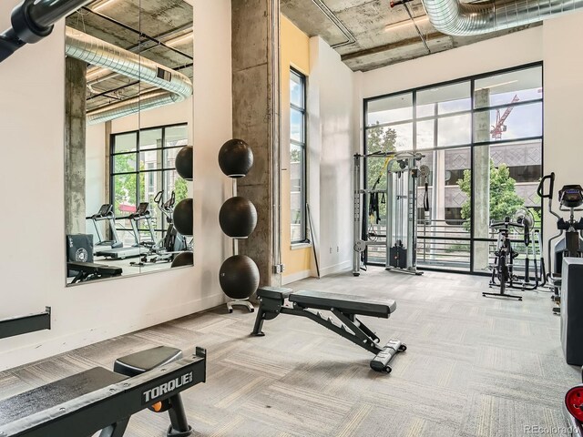 2374 S University Blvd Unit 205, Denver, CO 80210 - exercise room with carpet