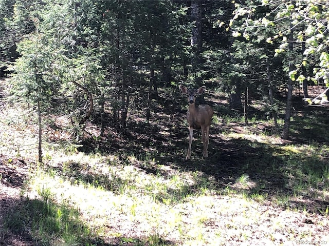 60 Oak Ridge Rd, Manitou Springs CO, 80829 land for sale