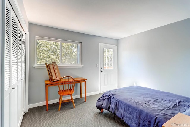 carpeted bedroom with multiple windows