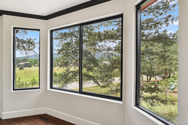 31366 Burn Ln, Evergreen, CO 80439 - photo 10