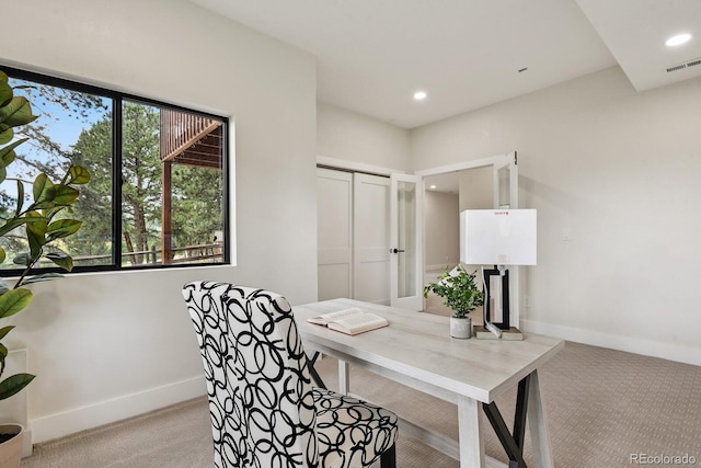 31366 Burn Ln, Evergreen, CO 80439 - photo 36
