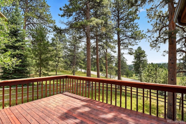 31366 Burn Ln, Evergreen, CO 80439 - photo 39