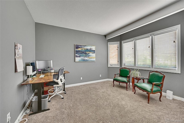 6681 Flintwood Rd, Parker, CO 80138 - office space featuring carpet and a textured ceiling