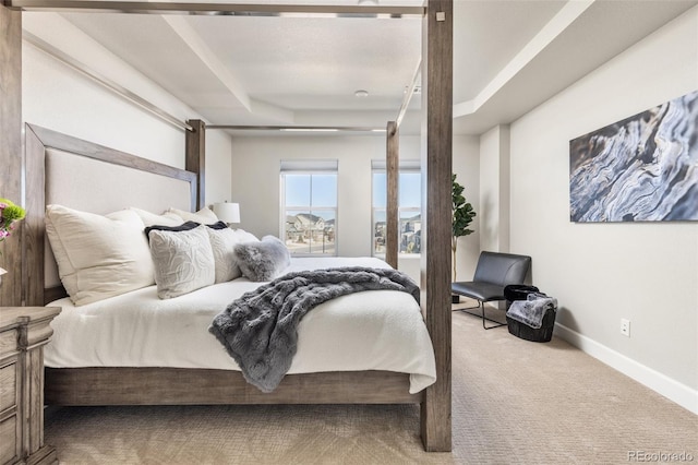 bedroom featuring carpet flooring and a tray ceiling