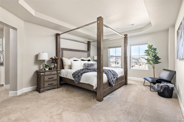 carpeted bedroom featuring a raised ceiling