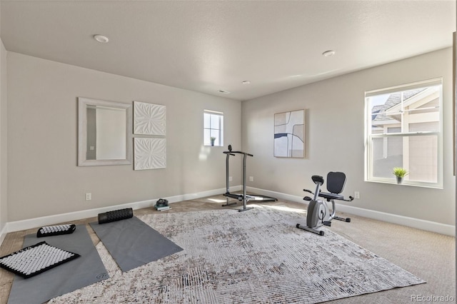 exercise room featuring carpet flooring