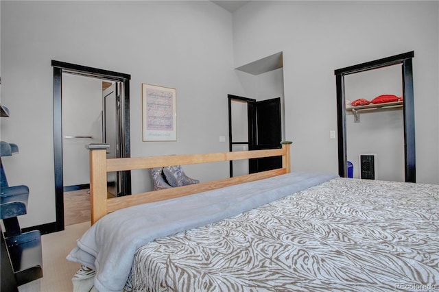 1111 E St, Salida, CO 81201 - bedroom featuring a closet, a towering ceiling, and carpet