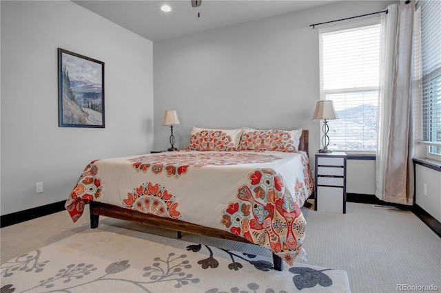 1111 E St, Salida, CO 81201 - bedroom featuring carpet, multiple windows, and recessed lighting