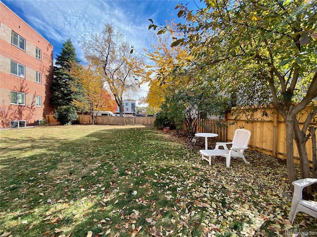 85 N Grant St Unit 22, Denver, CO 80203 - view of yard