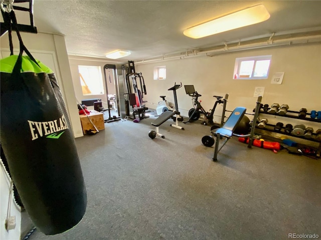 85 N Grant St Unit 22, Denver, CO 80203 - workout area with healthy amount of natural light