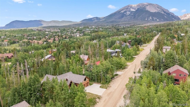 456 Royal Red Bird Dr, Silverthorne, CO 80498 - photo 45
