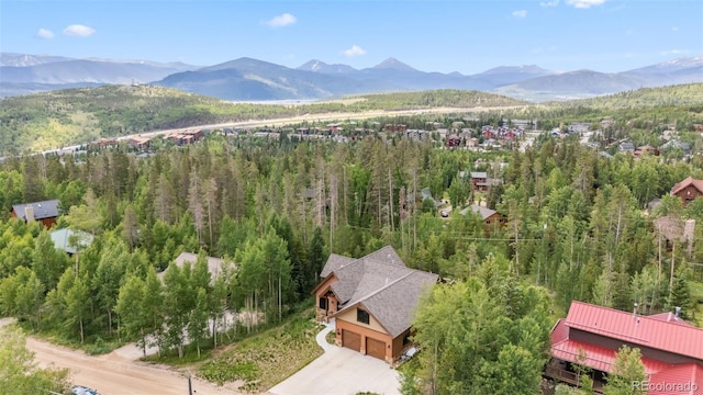 456 Royal Red Bird Dr, Silverthorne, CO 80498 - photo 46