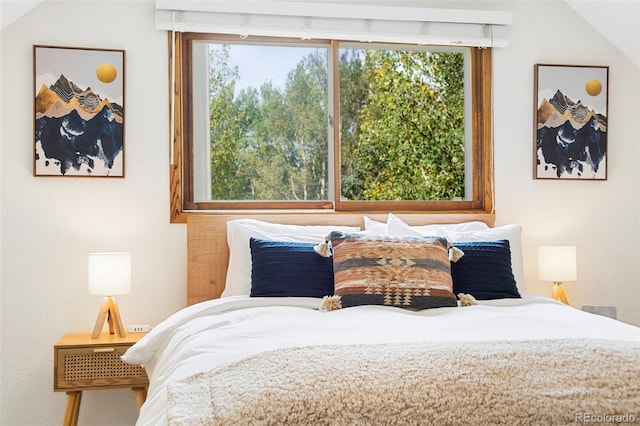 bedroom with lofted ceiling and multiple windows