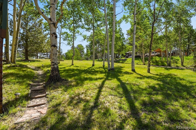 95 Club Dr, Woodland Park, CO 80863 - photo 2