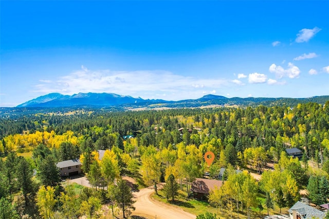 95 Club Dr, Woodland Park, CO 80863 - photo 31