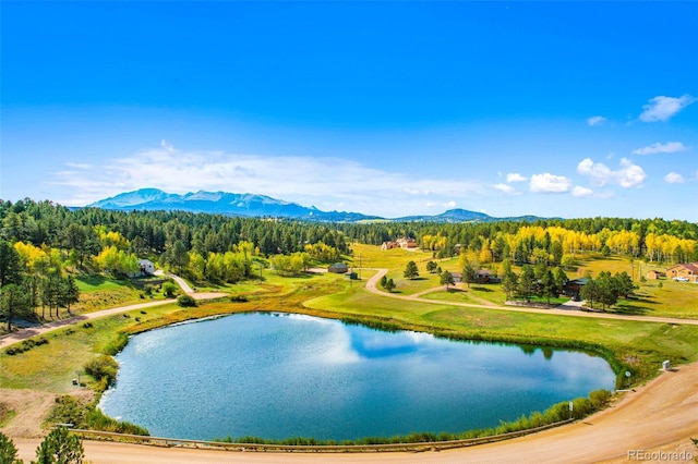 95 Club Dr, Woodland Park, CO 80863 - photo 33