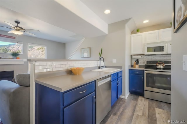 kitchen featuring blue cabinets, a sink, backsplash, wood finished floors, and appliances with stainless steel finishes