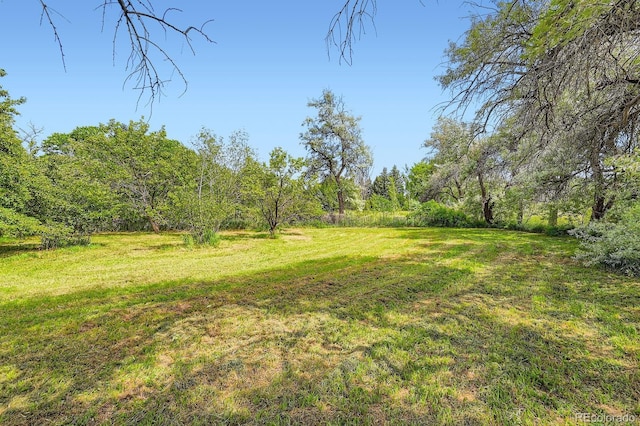 2221 N 95th St, Boulder, CO 80301 - photo 20
