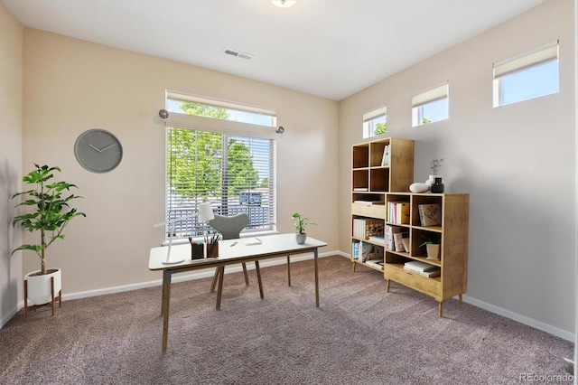 5520 Genoa St, Denver, CO 80249 - photo 4
