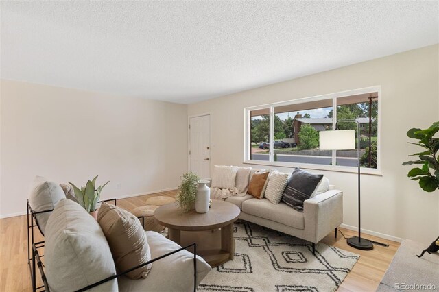 1411 Acacia Dr, Colorado Springs, CO 80907 - living area featuring light wood finished floors and a textured ceiling
