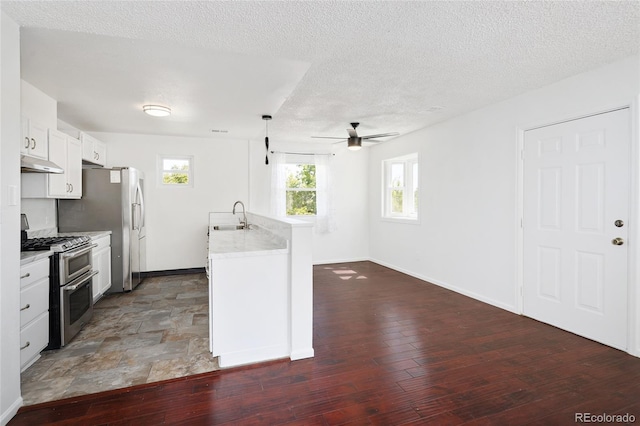 1455 W Alaska Pl, Denver, CO 80223 - kitchen featuring appliances with stainless steel finishes, under cabinet range hood, a ceiling fan, light countertops, and white cabinetry