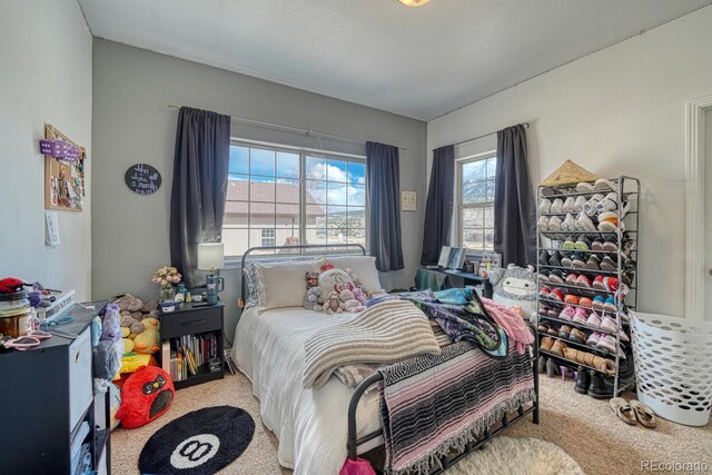 1118 E Sabeta Ave, Poncha Springs, CO 81242 - photo 22