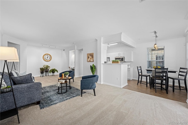 carpeted living room featuring rail lighting and ornamental molding