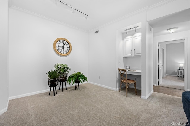 interior space with light colored carpet, ornamental molding, and track lighting