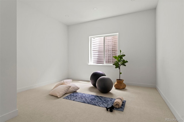 171 S Dexter St, Denver, CO 80246 - exercise area featuring carpet floors