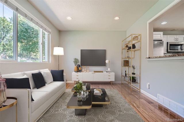 living room featuring hardwood / wood-style flooring