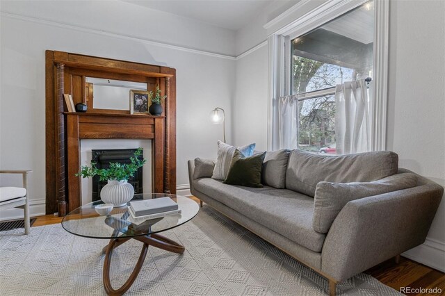 living area with a fireplace and wood finished floors