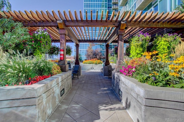 view of patio / terrace featuring a pergola