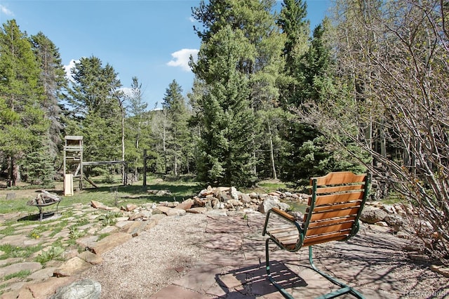 10469 Christopher Dr, Conifer, CO 80433 - view of yard