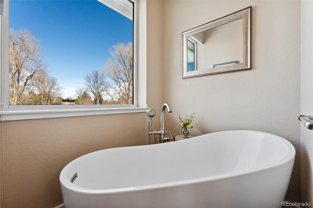 bathroom featuring a washtub