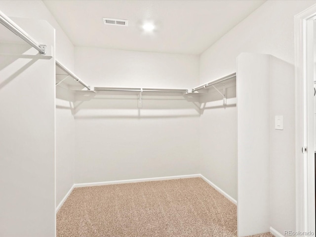 spacious closet featuring carpet flooring and visible vents