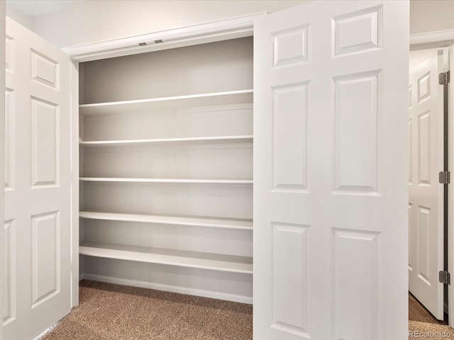 view of closet