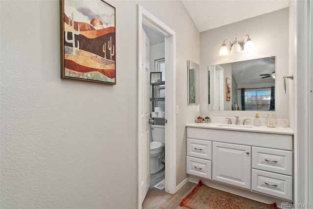 2954 E 101st Ave, Thornton, CO 80229 - bathroom with vanity, toilet, wood finished floors, and ceiling fan