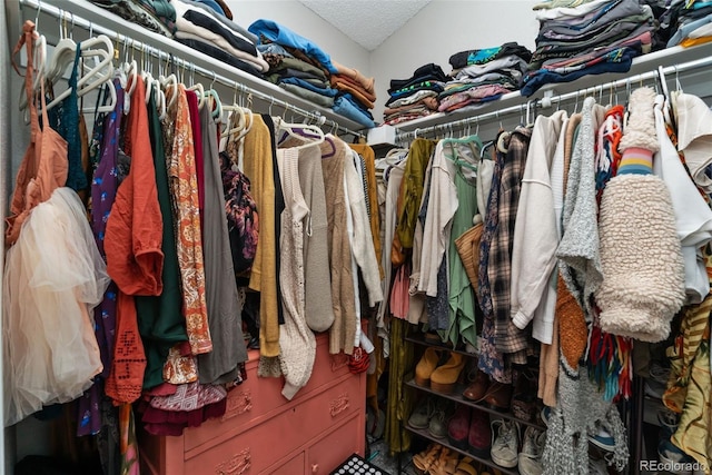 2954 E 101st Ave, Thornton, CO 80229 - view of walk in closet