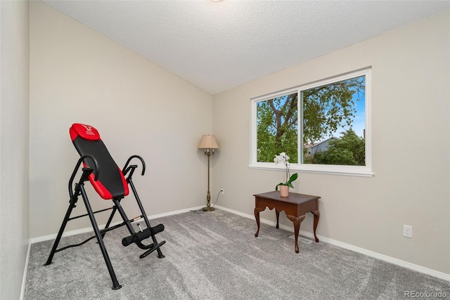 2954 E 101st Ave, Thornton, CO 80229 - workout room with carpet flooring, vaulted ceiling, baseboards, and a textured ceiling