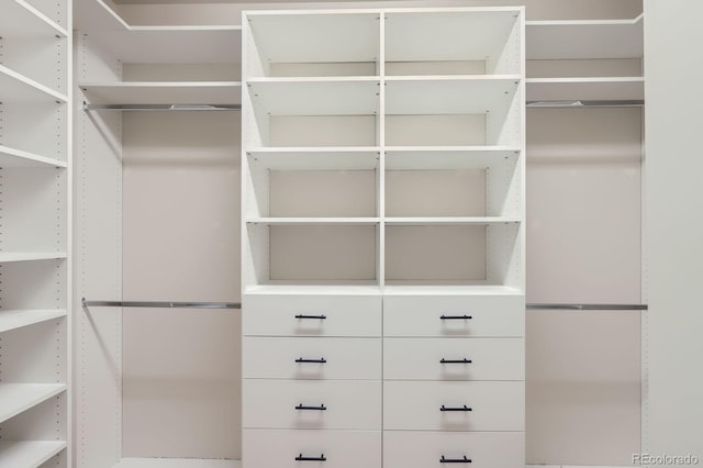 view of walk in closet