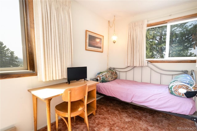 bedroom featuring dark carpet