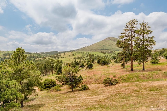 1414 Mountain Pines Rd, Boulder, CO 80302 - photo 24
