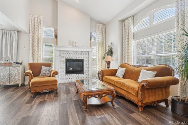 living area featuring a glass covered fireplace, wood finished floors, and high vaulted ceiling