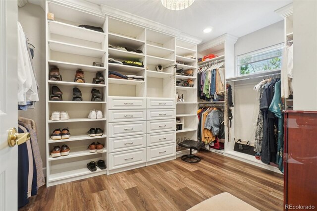spacious closet with light wood finished floors