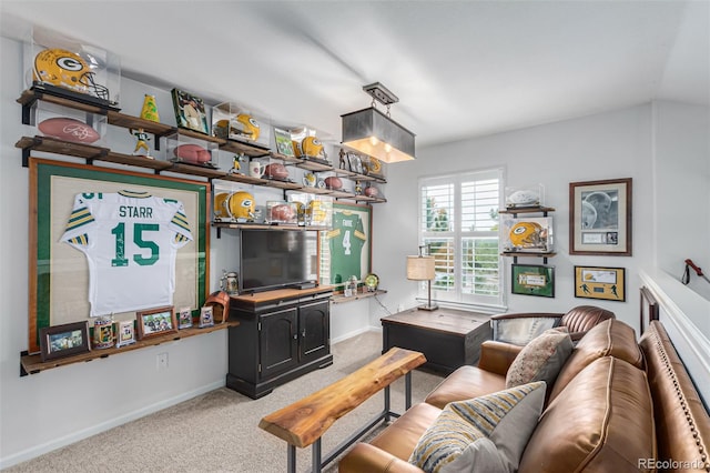 living room featuring light colored carpet