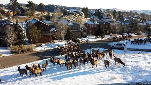 24087 Deer Valley Rd, Golden, CO 80401 - photo 26