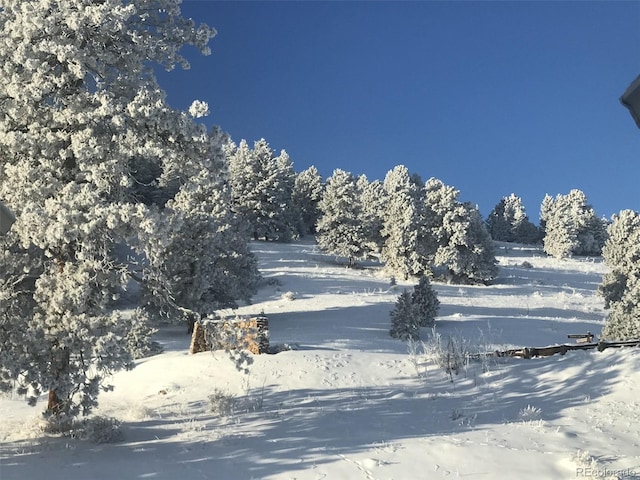 view of yard covered in snow