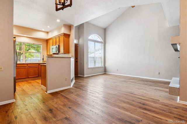 unfurnished living room featuring lofted ceiling, light hardwood / wood-style flooring, and a healthy amount of sunlight