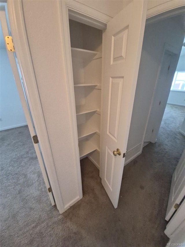 894 S Krameria St, Denver, CO 80224 - view of closet