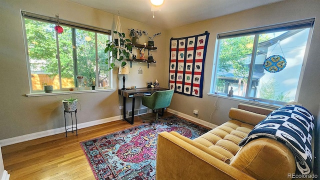 home office with hardwood / wood-style flooring and plenty of natural light